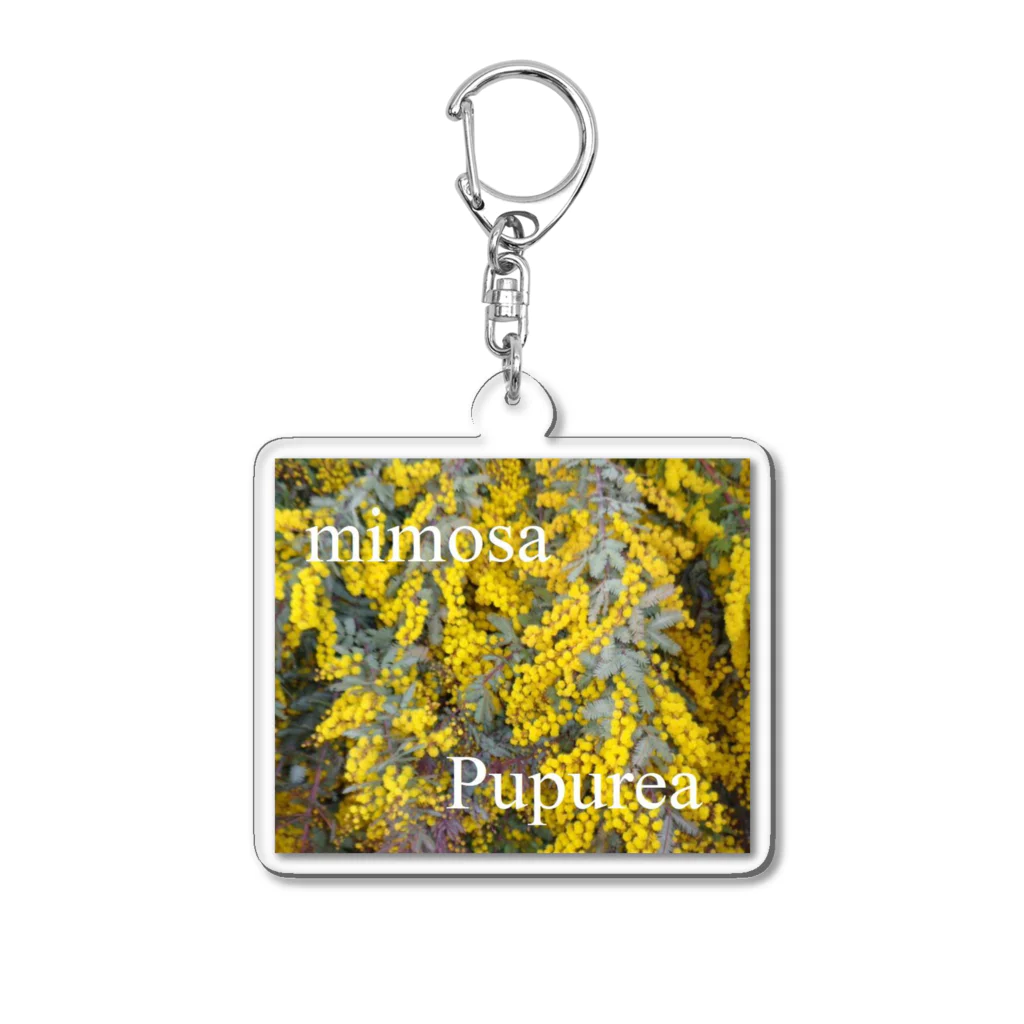 To-You133のMimosa　Pupurea Acrylic Key Chain