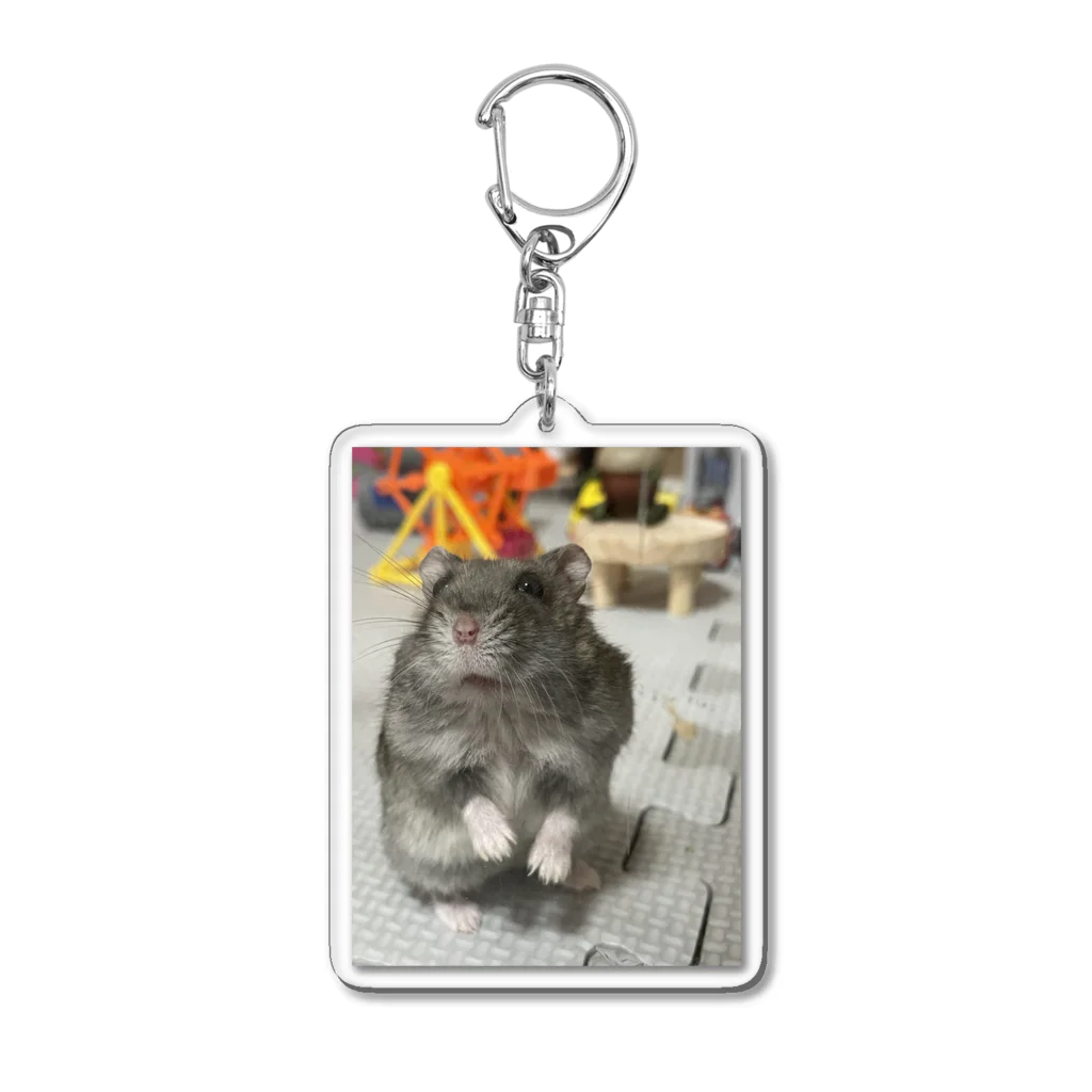 2匹の愉快なハム達のおうか Acrylic Key Chain