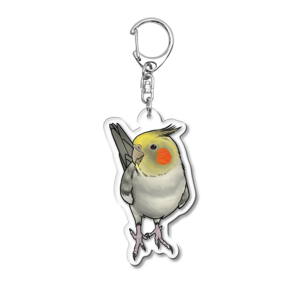 kuruminmin395963のオカメインコ・アクリルキーホルダー・パイド２ Acrylic Key Chain