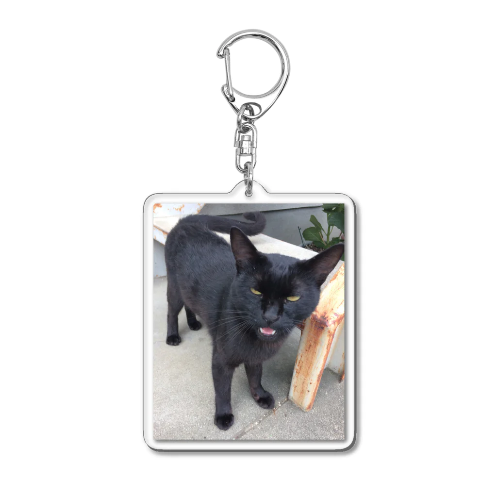 nightwalkerの黒ひょうぜッッ！ Acrylic Key Chain