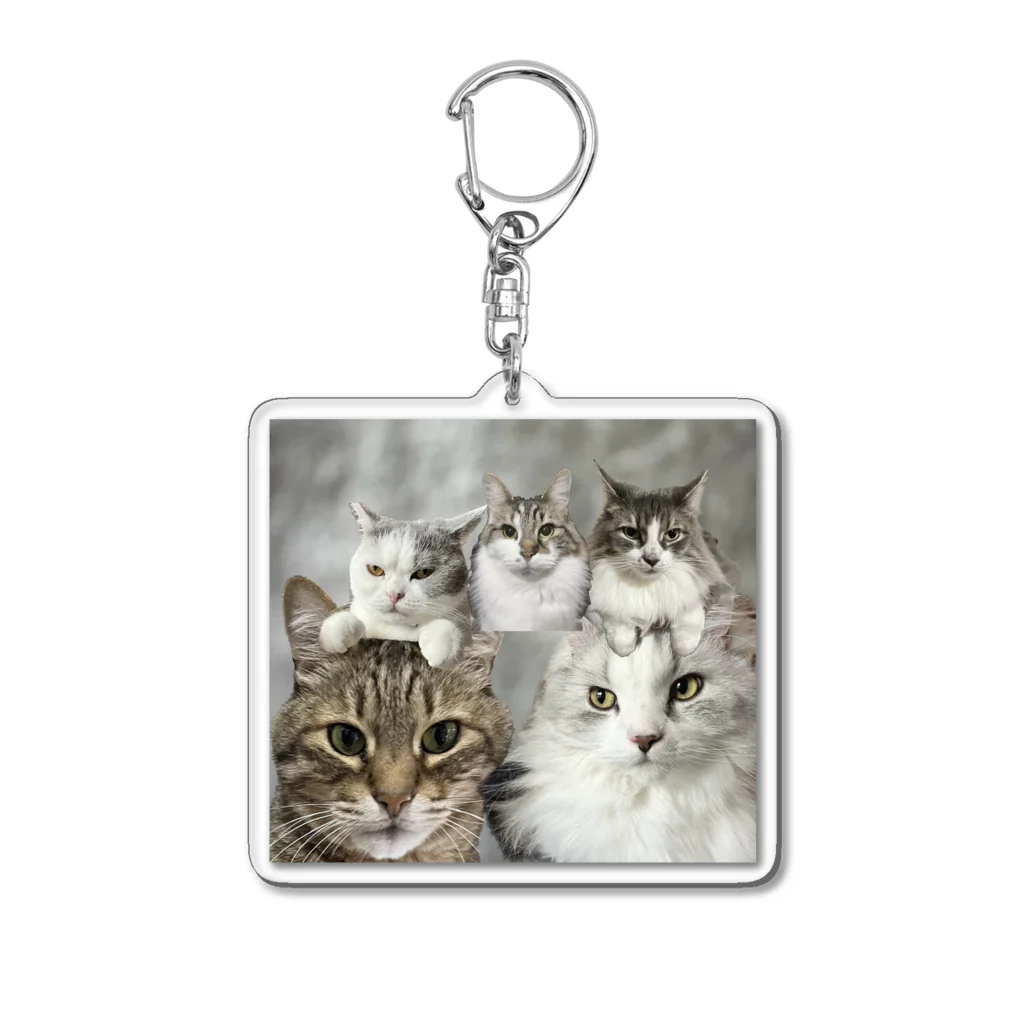 えひめのねこそらこうめひめじじ Acrylic Key Chain