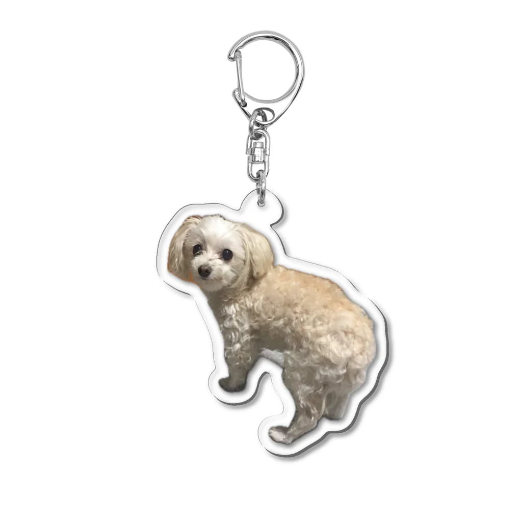 yamamondayoのろっきー🐶 Acrylic Key Chain