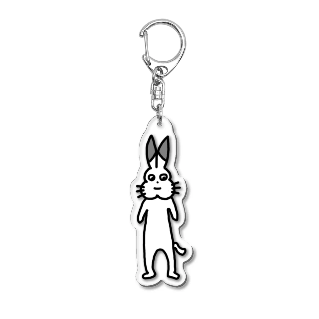 ドコムス刷りのにせもの Acrylic Key Chain