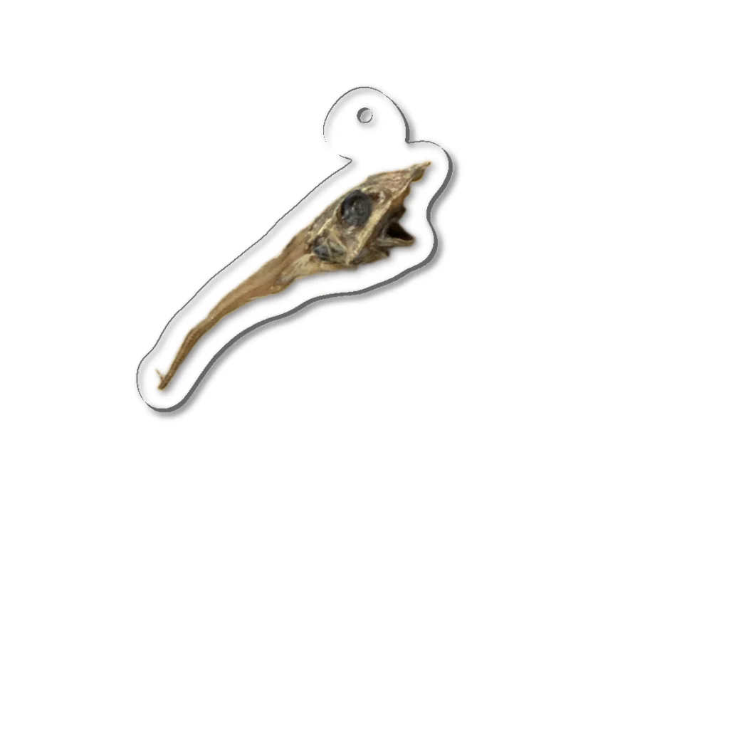 吻なしのオニヒゲ（干物） Acrylic Key Chain