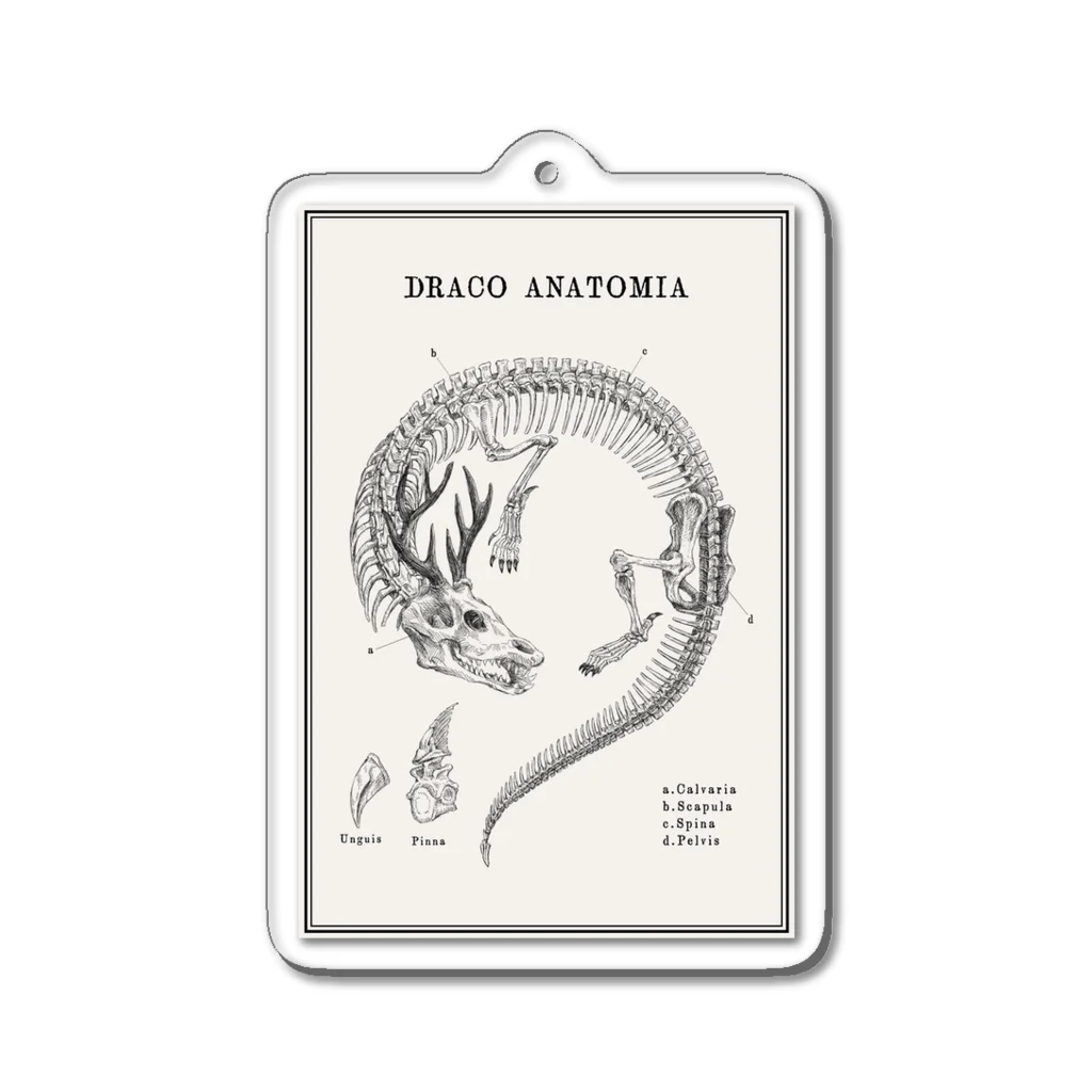 THOUGHT -STORE in Suzuri-のDRACO ANATOMIA Acrylic Key Chain