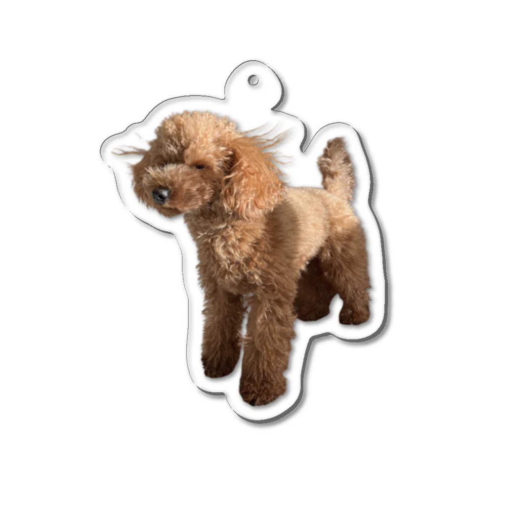 UNIUNIUNIUNIの静電気犬 Acrylic Key Chain