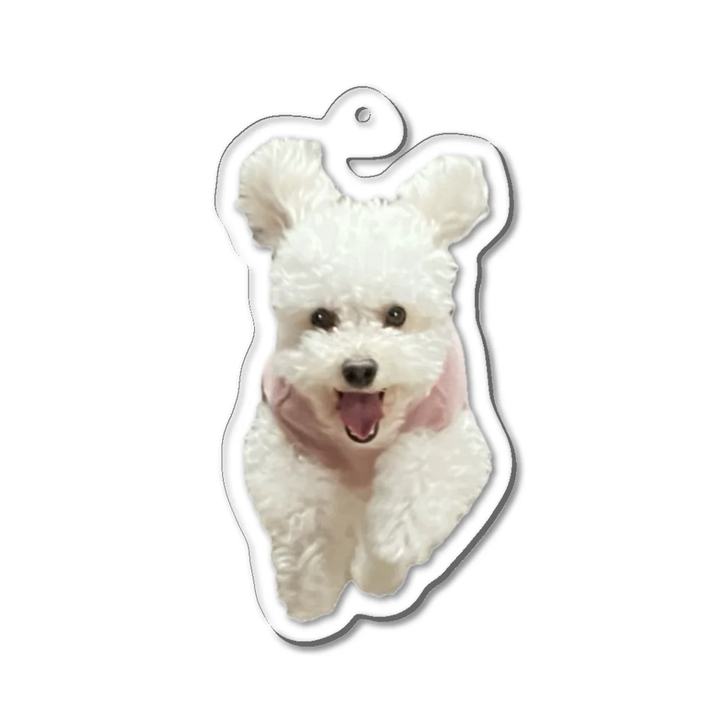 カケイプランツのダッシュ！ジャンプ！犬 Acrylic Key Chain