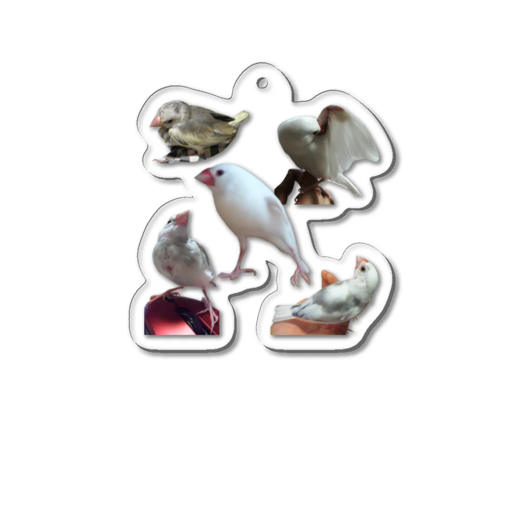 Lily bird（リリーバード）の白文鳥さん写真集 Acrylic Key Chain