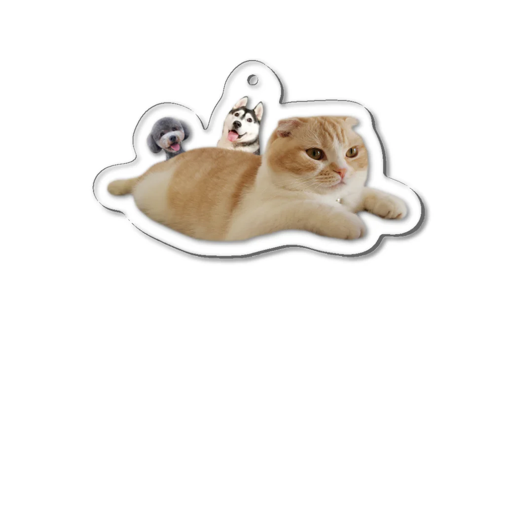 犬と猫の親バカ日記【公式グッズ】のキーホルダー　空飛ぶ猫と犬 Acrylic Key Chain