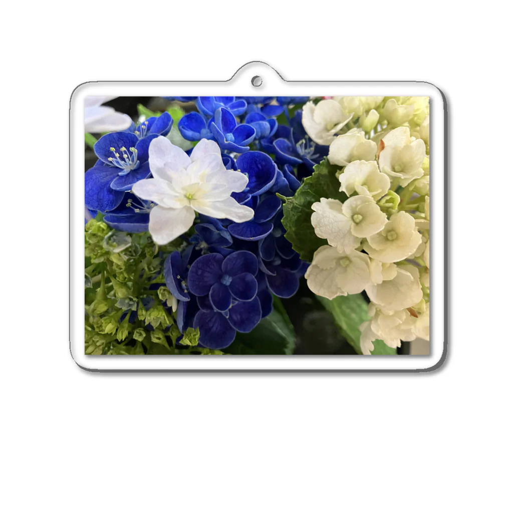 MomoTakaのいろいろな紫陽花たち Acrylic Key Chain