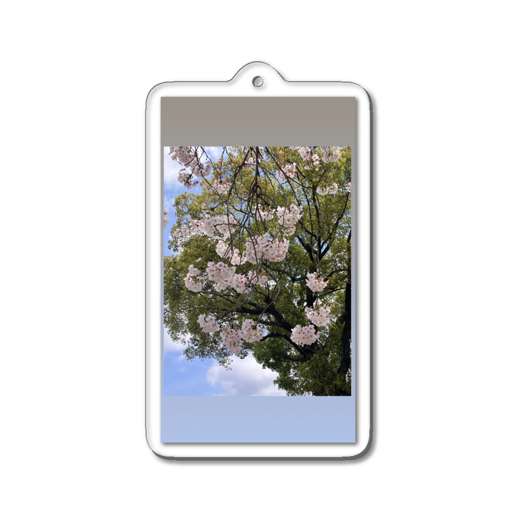 kazucchi shopの桜 Acrylic Key Chain