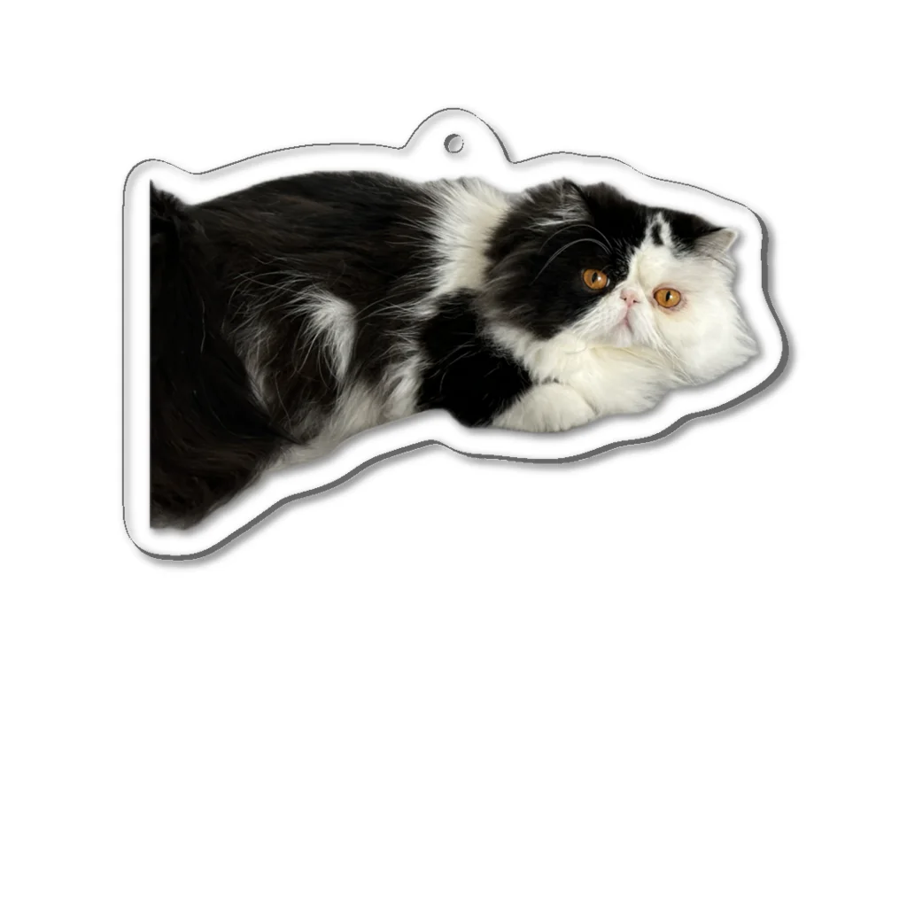 猫のギズモのアクリルキーホルダー Acrylic Key Chain