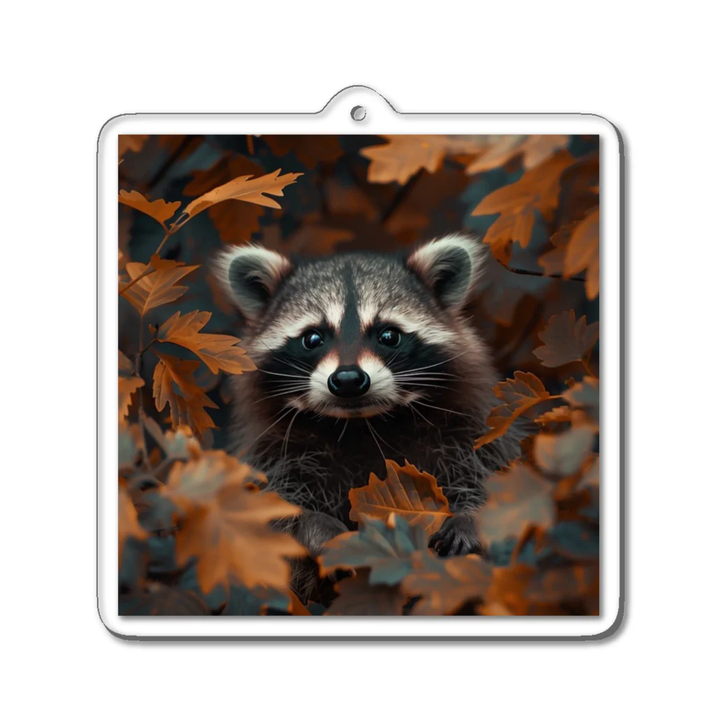 Raccoon Cool PlanetのRaccoon Cool Planet Acrylic Key Chain