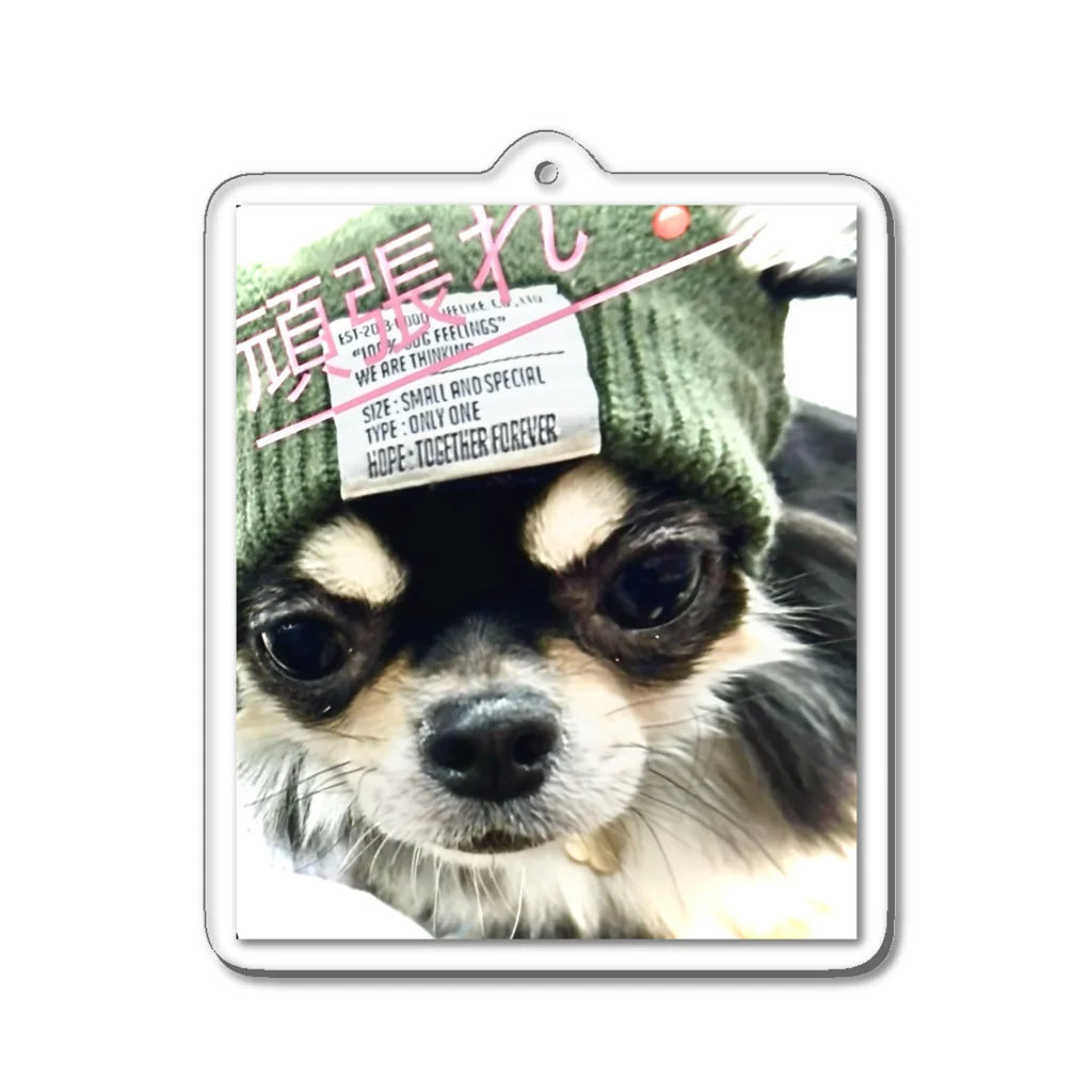 我が家の愛犬の癒しの愛犬 Acrylic Key Chain