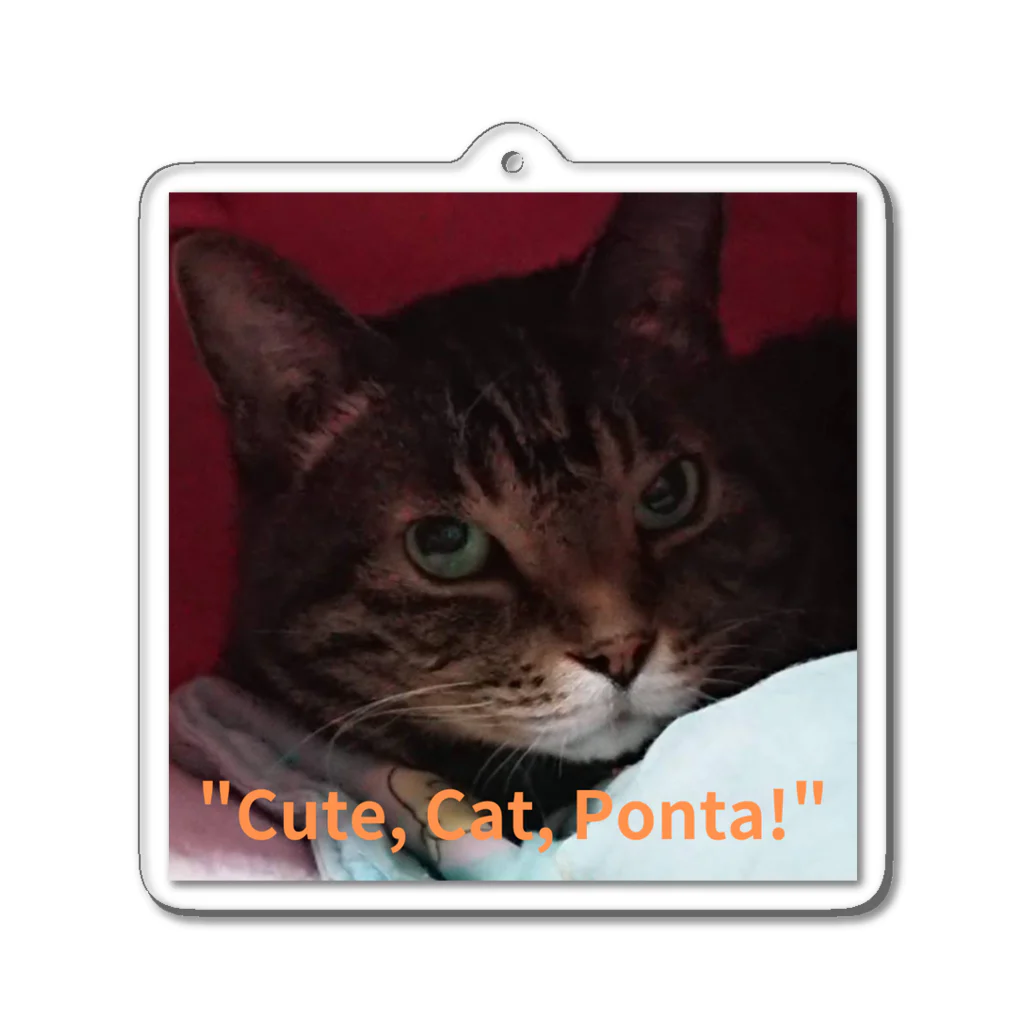 yuo1040yamato Soraの"cute. Cat. Ponta!" Acrylic Key Chain