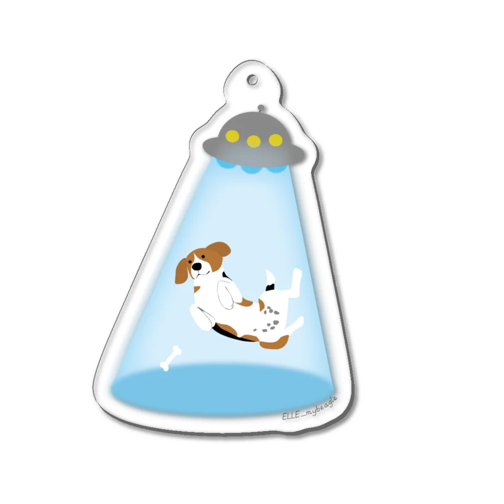 ELLE_mybeagleのアブダクト・ビーグル（２） Acrylic Key Chain