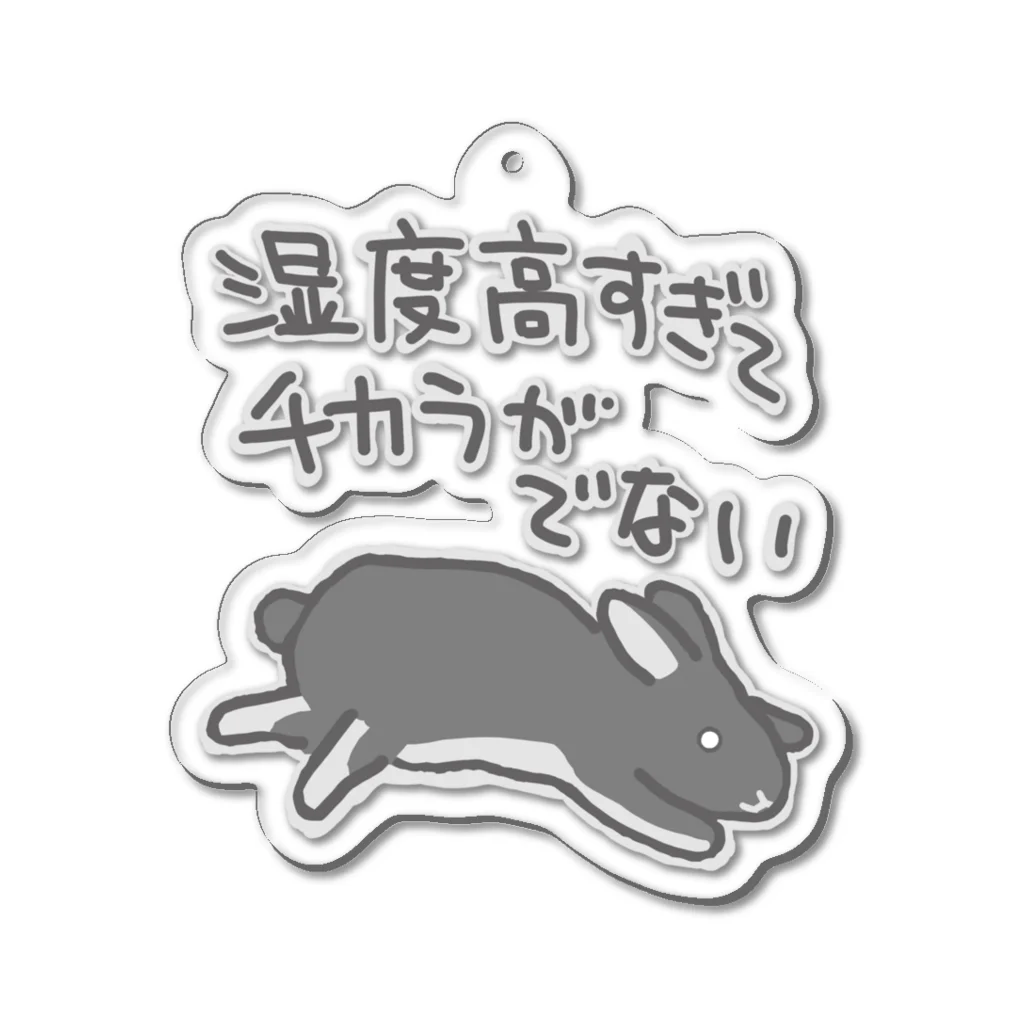 ミナミコアリクイ【のの】の湿度高すぎ【うさぎ】 Acrylic Key Chain