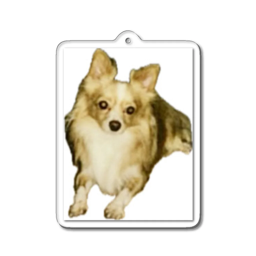 ゲドテコデータプールセンターの犬1号 Acrylic Key Chain