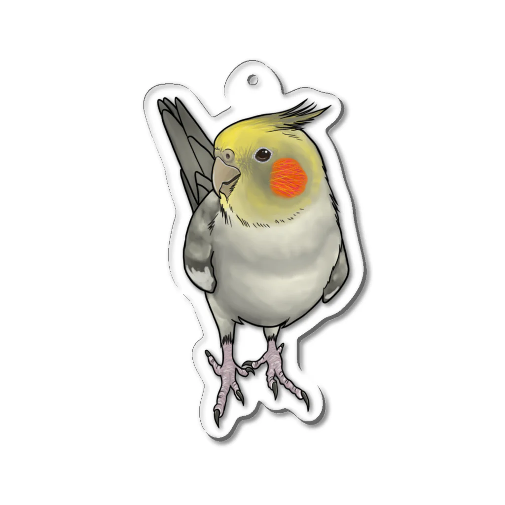 kuruminmin395963のオカメインコ・アクリルキーホルダー・パイド２ Acrylic Key Chain