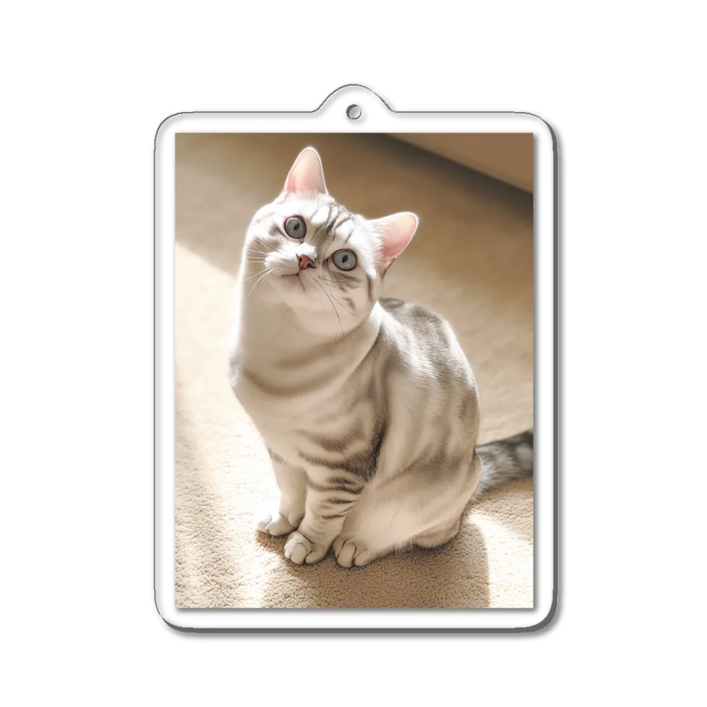 AQUAMETAVERSEの美人な猫  1477 Acrylic Key Chain