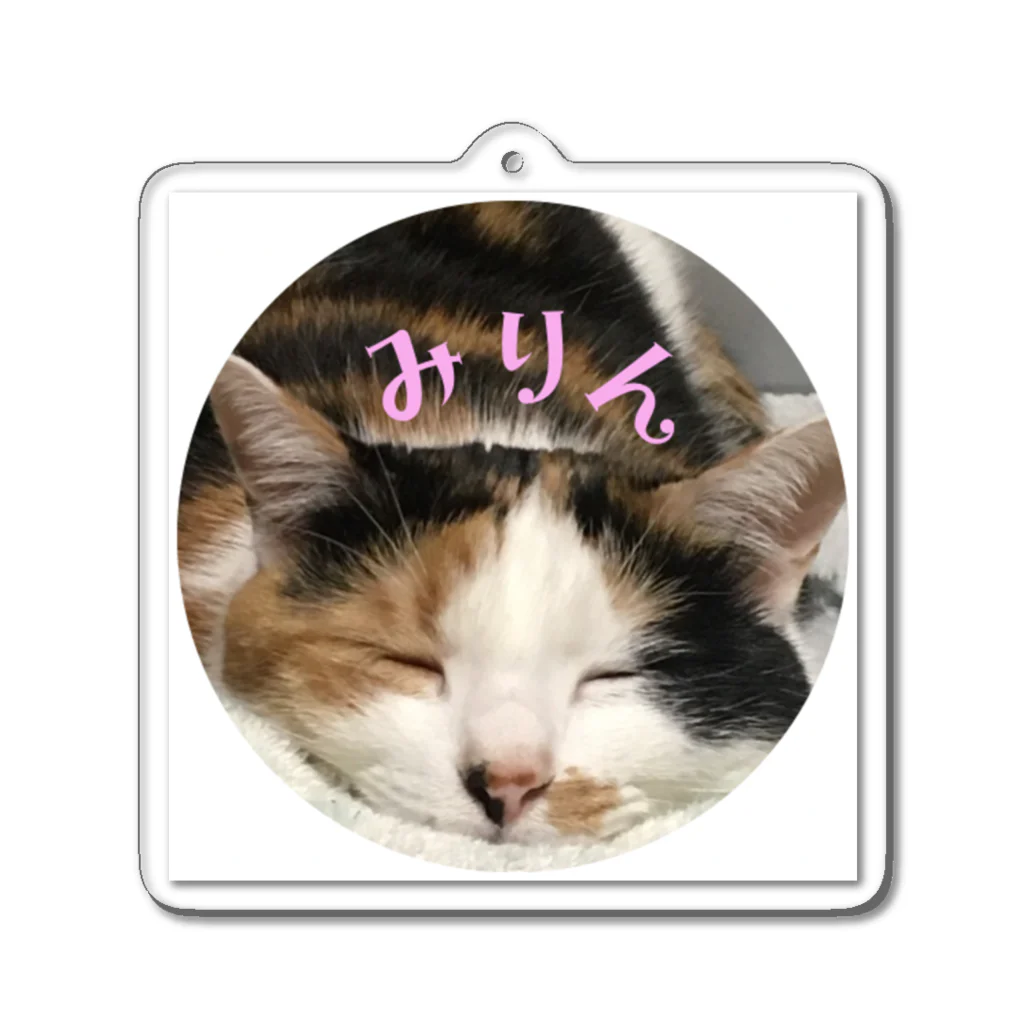 みりんShopのみりんマニア　すやすやほっこり Acrylic Key Chain