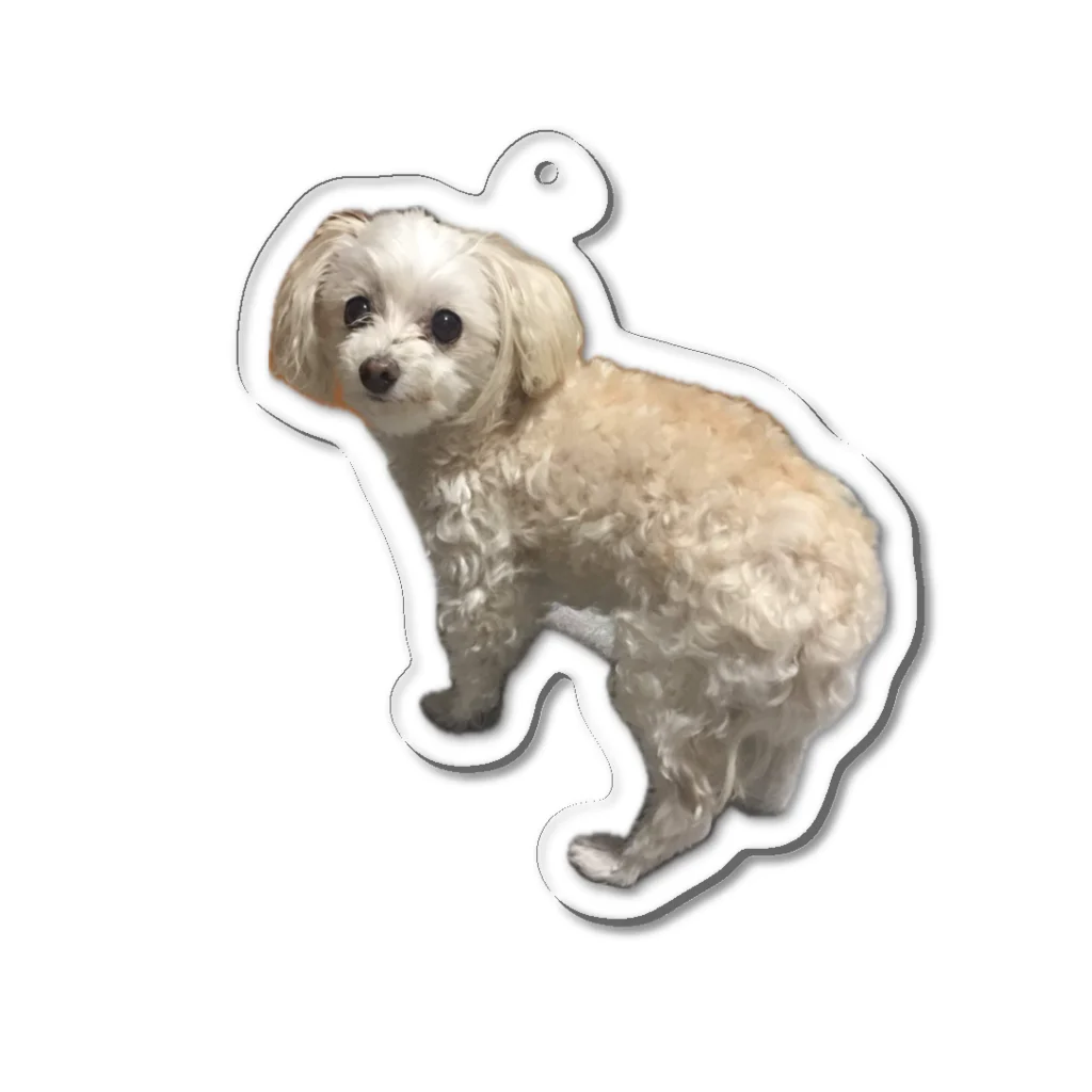 yamamondayoのろっきー🐶 アクリルキーホルダー