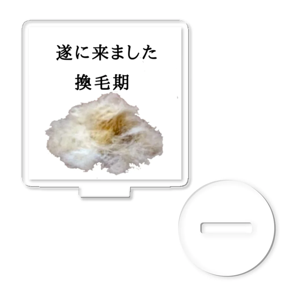 コーギー好きすぎてAAの遂に来ました換毛期 アクリルスタンド