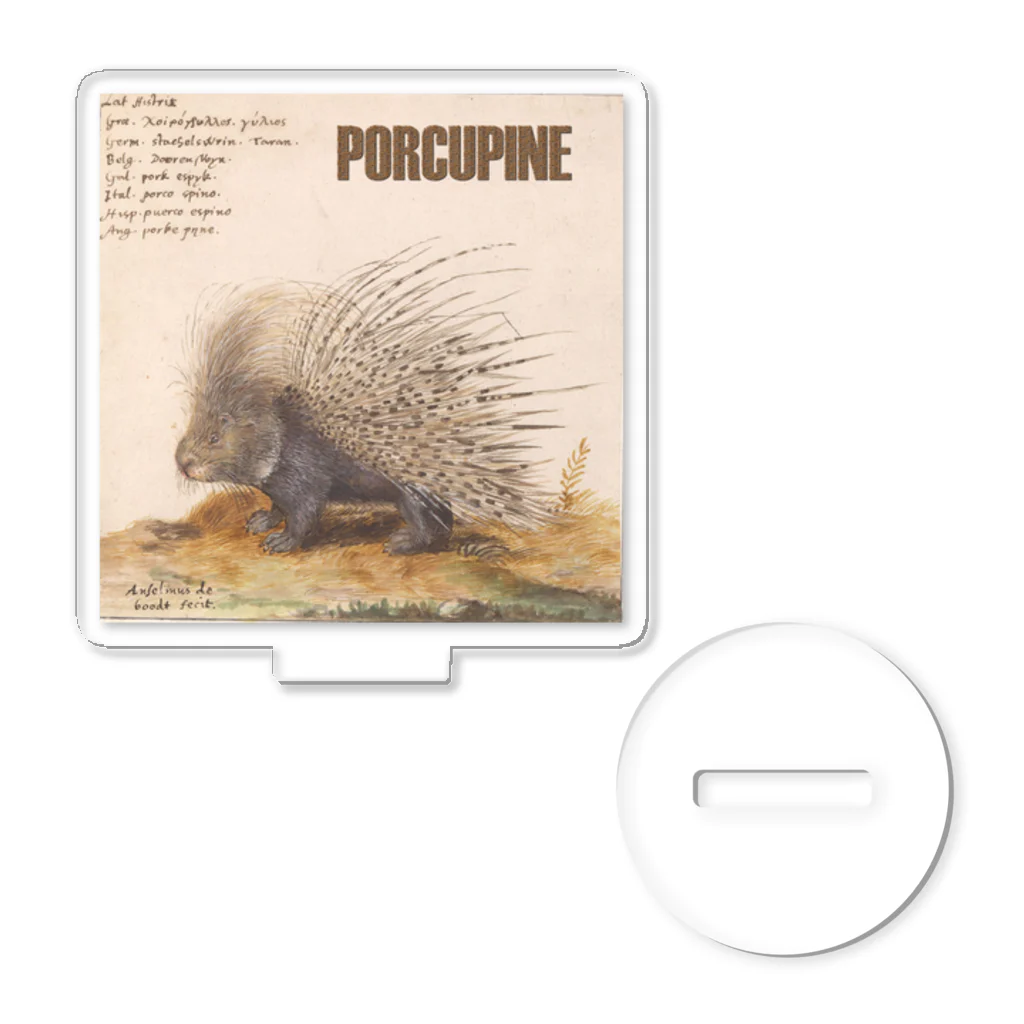 PALA's SHOP　cool、シュール、古風、和風、のPORCUPINE　ヤマアラシ Acrylic Stand