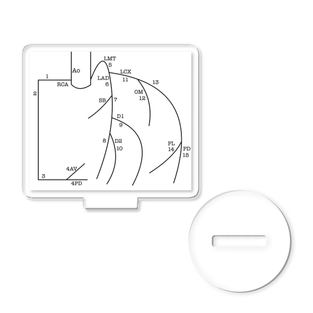 Zuckerの冠動脈ナンバー Acrylic Stand