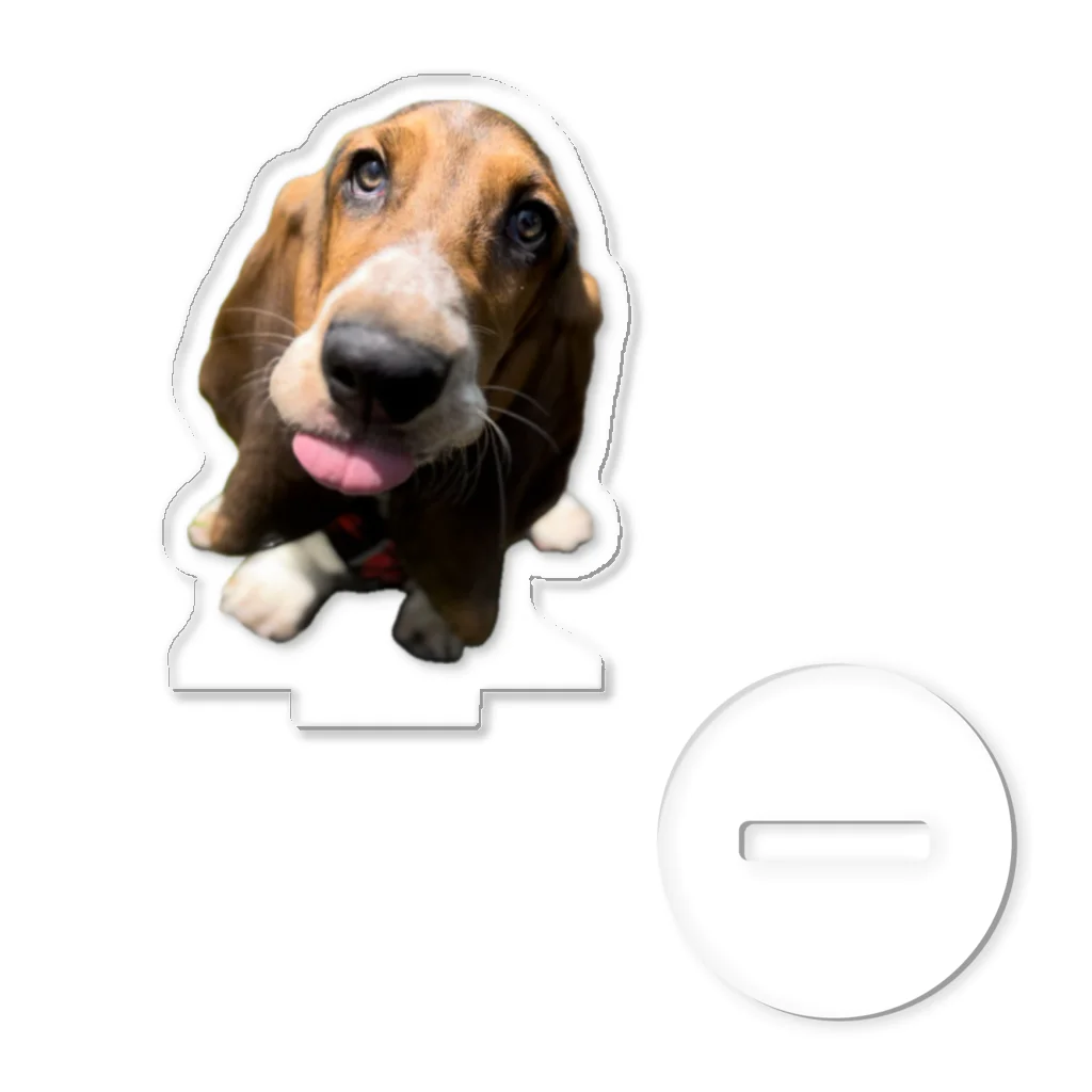 TOMBI the Basset houndのぺ アクリルスタンド