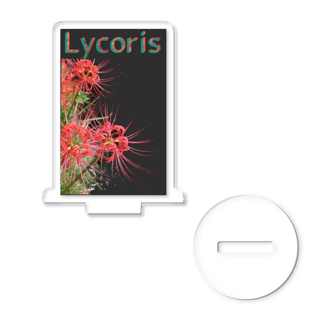 アニマル四字熟語のリコリス　彼岸花　LYCORIS アクリルスタンド