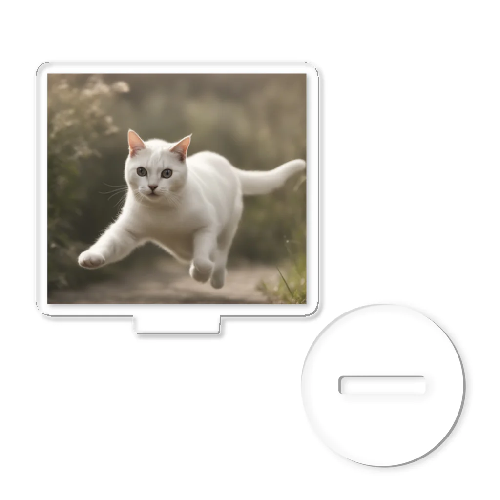 TAIYO 猫好きのフォトプリント美形白猫 Acrylic Stand
