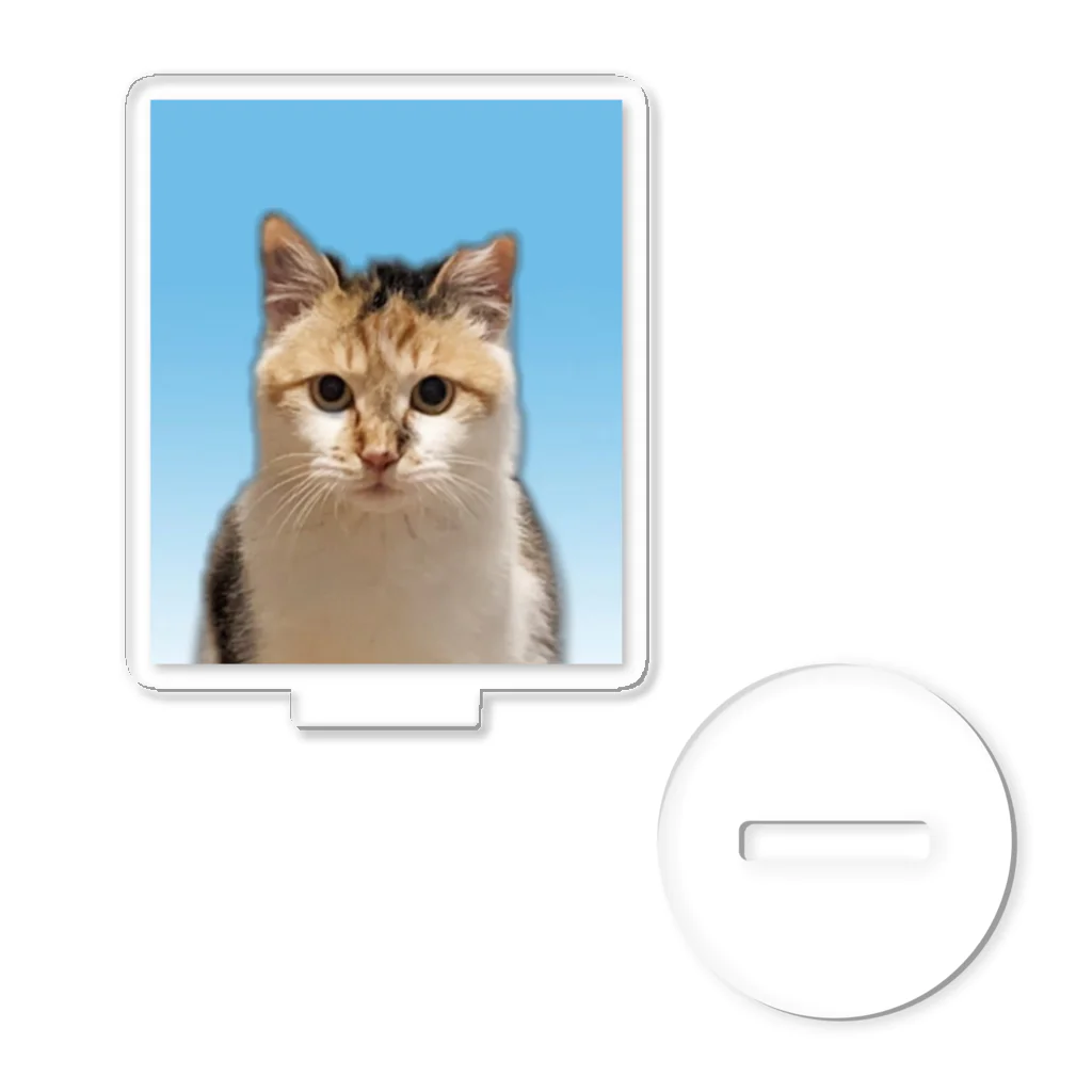 Ｑちゃんのたまちゃんの証明写真 アクリルスタンド