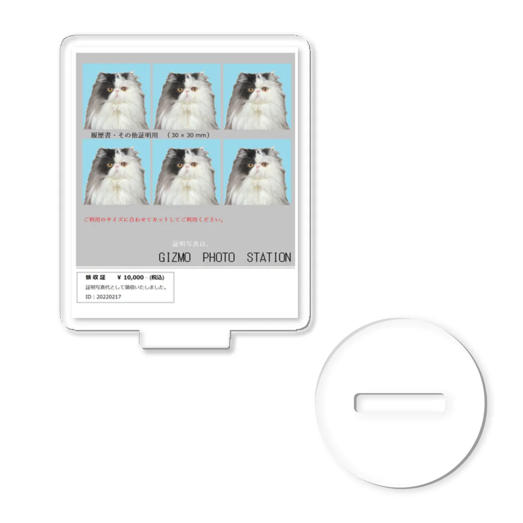 猫のギズモのギズモの証明写真 アクリルスタンド