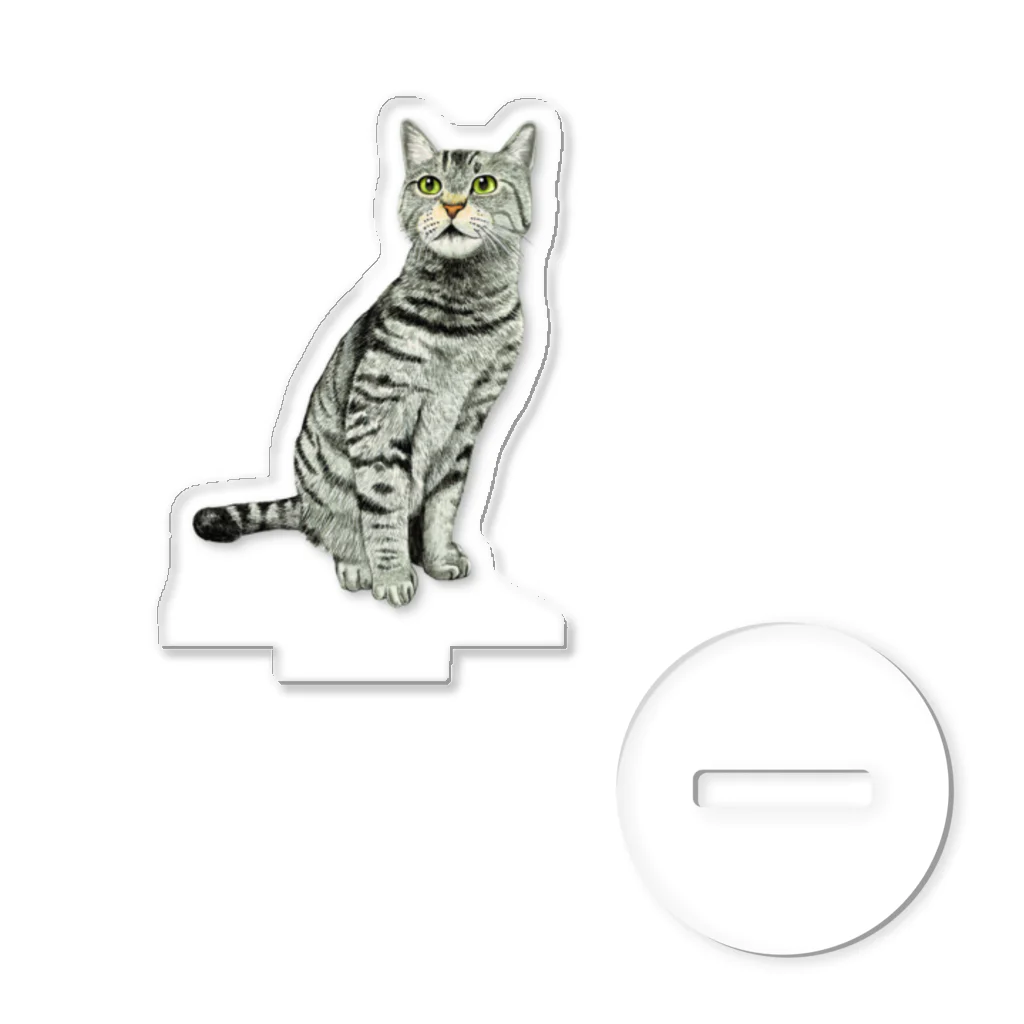 もっち（mocchi）のキジトラ猫ちゃん文字ナシ アクリルスタンド