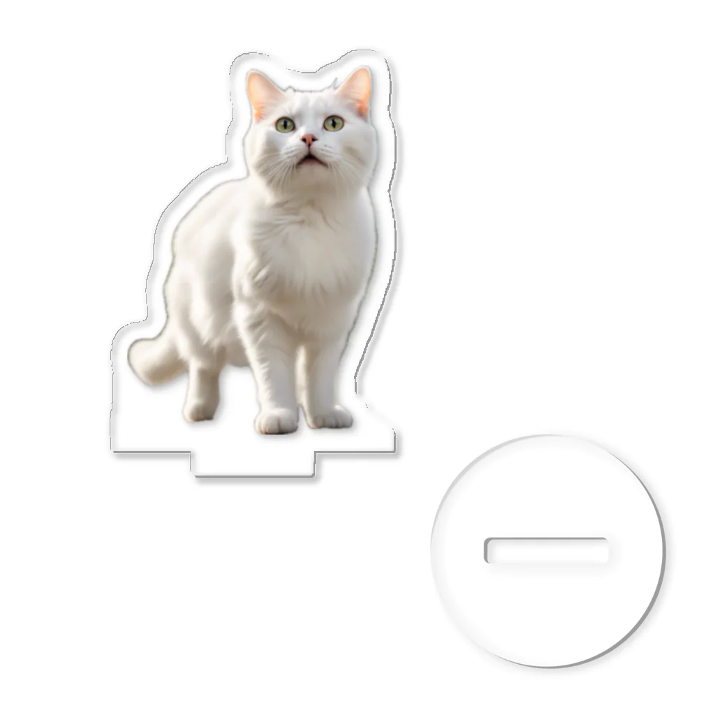 kiryu-mai創造設計の白猫ちゃん Acrylic Stand