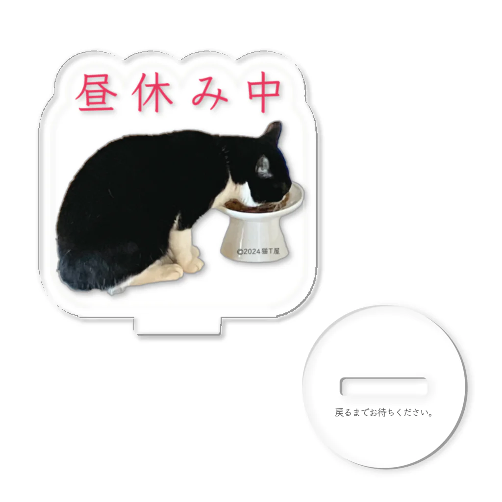 猫T屋のIT系猫 ・昼休み中 / アクリルスタンド アクリルスタンド