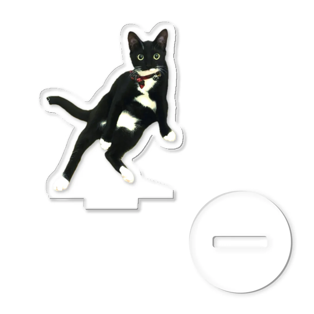 太陽と満月のセクシー満月　ねこ Acrylic Stand