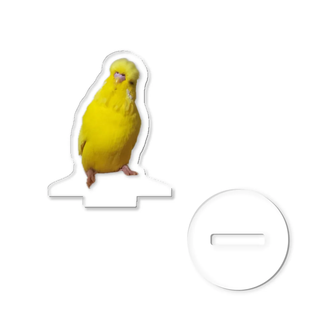 s301149のジャンボセキセイインコ Acrylic Stand