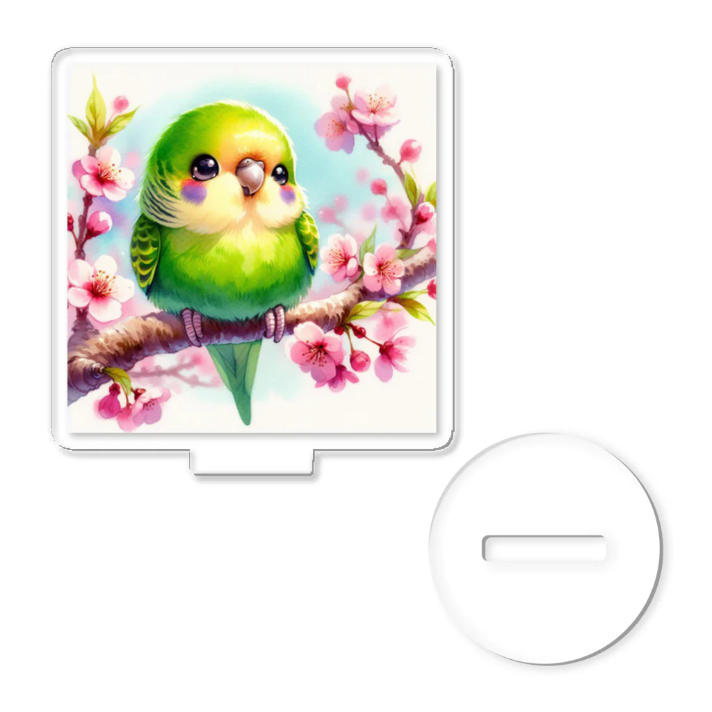 ぷっくりショップのオカメインコのひととき アクリルスタンド