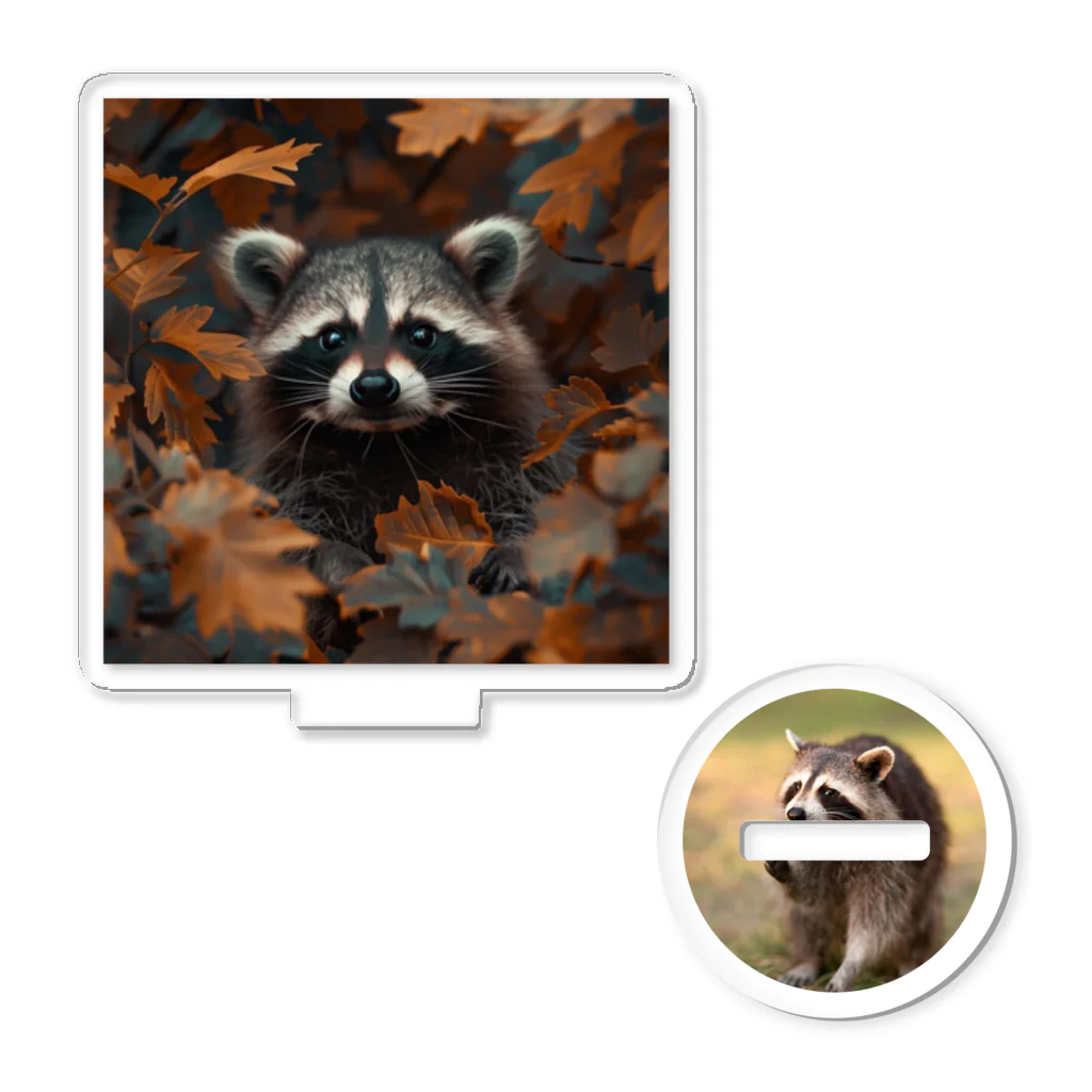 Raccoon Cool PlanetのRaccoon Cool Planet Acrylic Stand