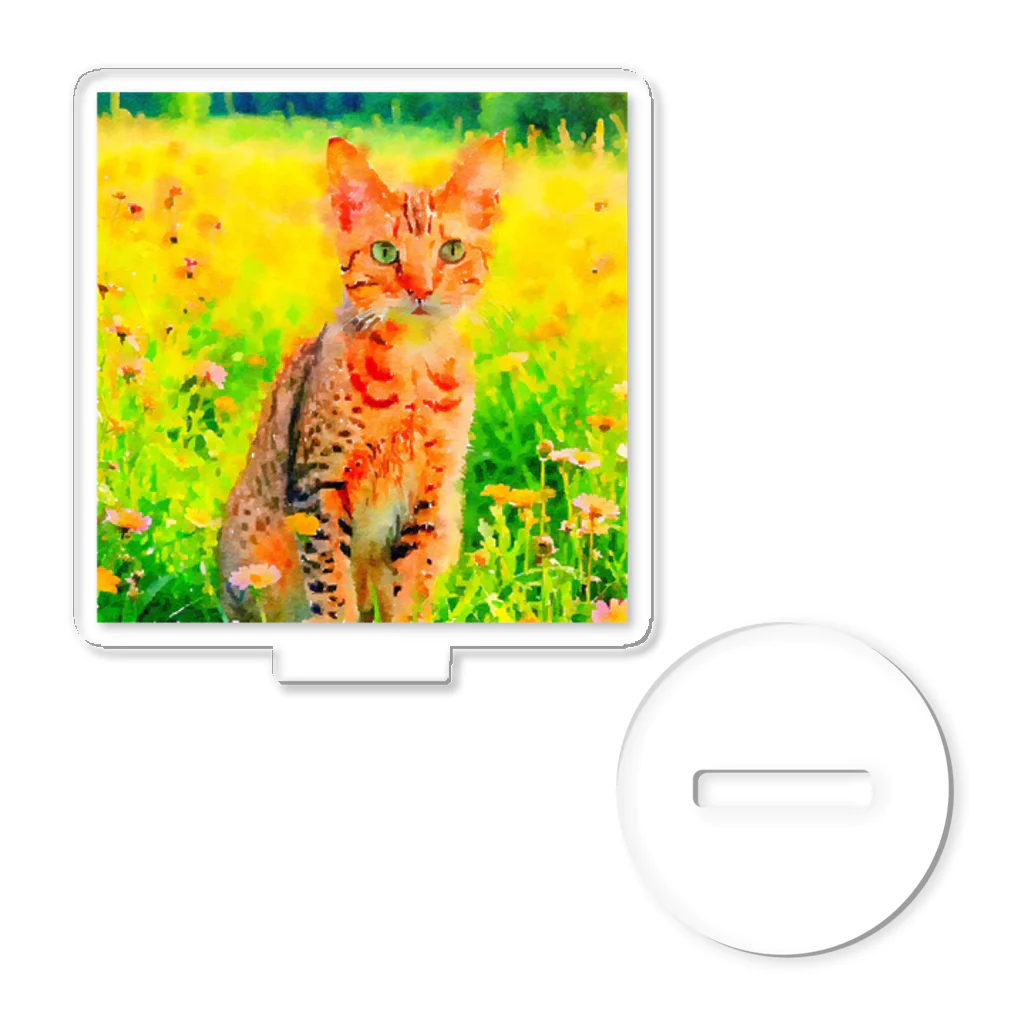 猫好きの谷の猫の水彩画/花畑のオシキャットねこのイラスト/キジトラネコ アクリルスタンド
