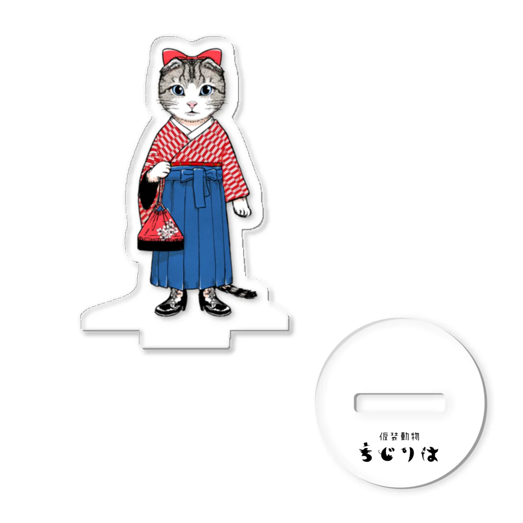 OKAYU_FACTORYのスコティッシュフォールドのハイカラさん Acrylic Stand