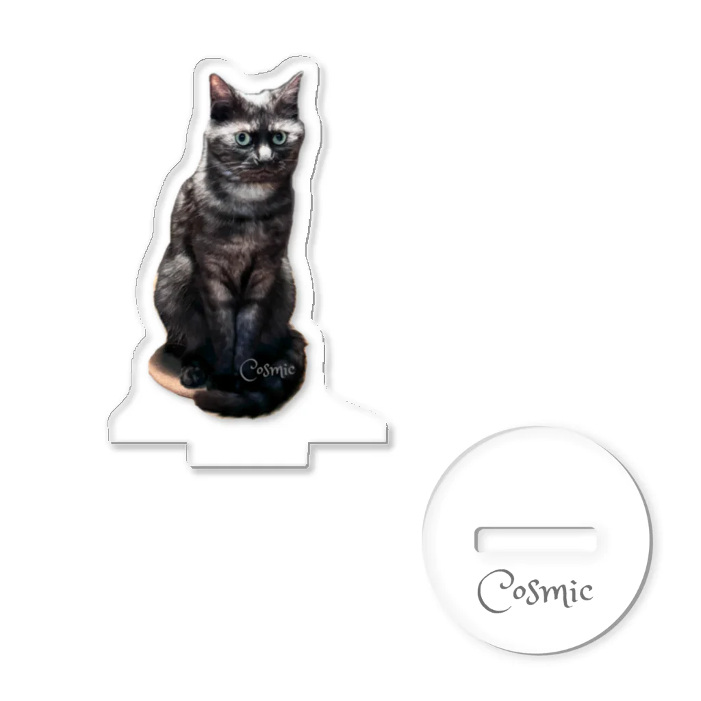 猫ウラ商店の黒虎猫コズミックが見てるよ！ Acrylic Stand