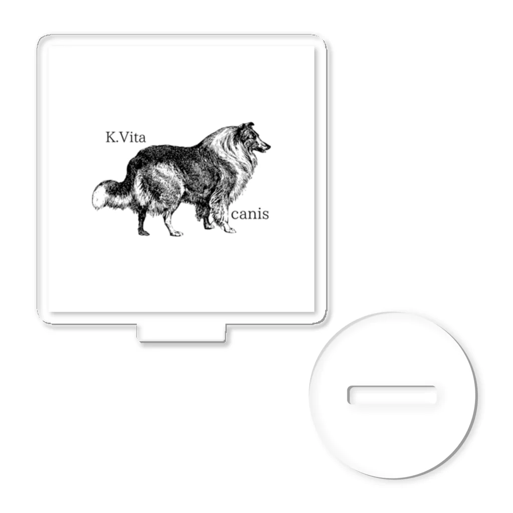 K.Vitaの犬＝安産祈願 Acrylic Stand