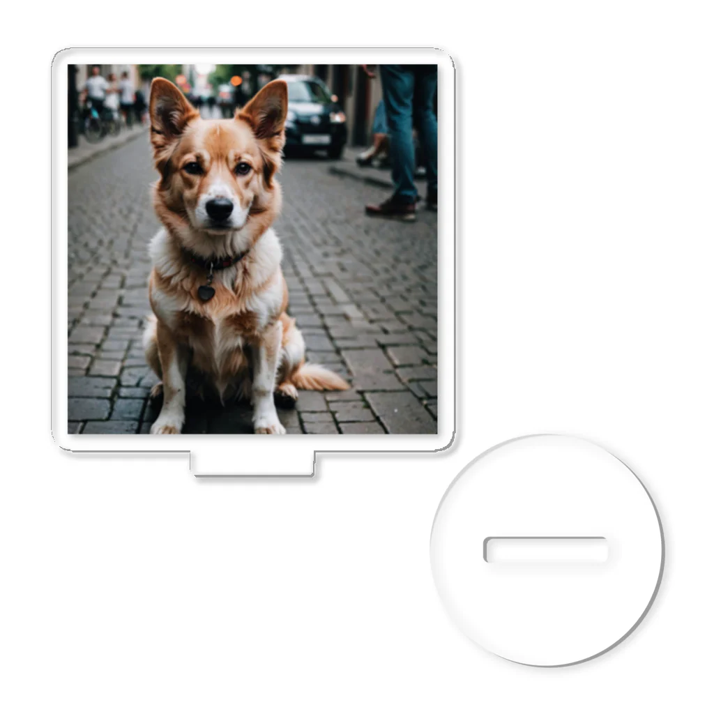 kaerinofficeのパワフルとは対照的な風貌を持つ可愛らしい犬がカメラ目線！ アクリルスタンド