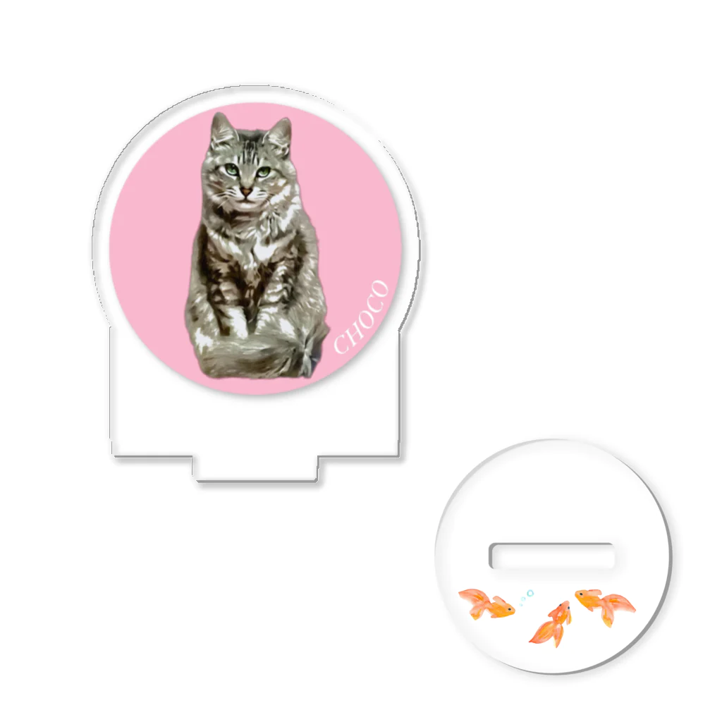 バーニーズマウンテンドッグのダンロのチョコちゃん Acrylic Stand