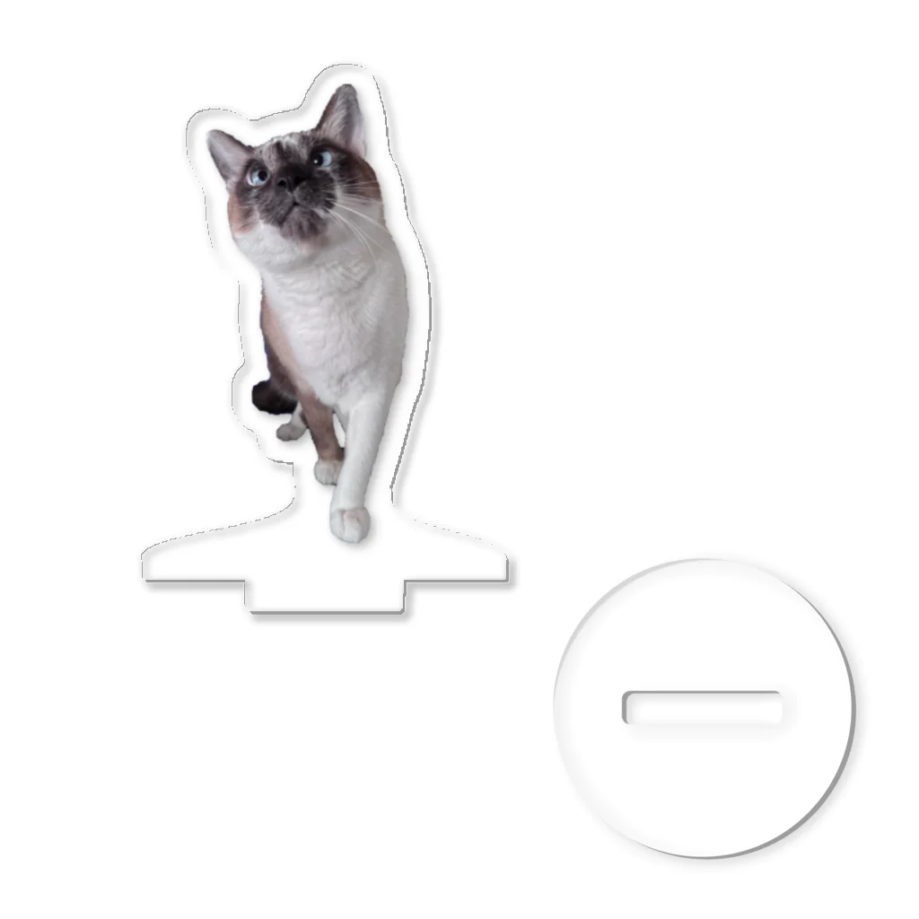 みけねこ情報局のねこのミュシャ Acrylic Stand