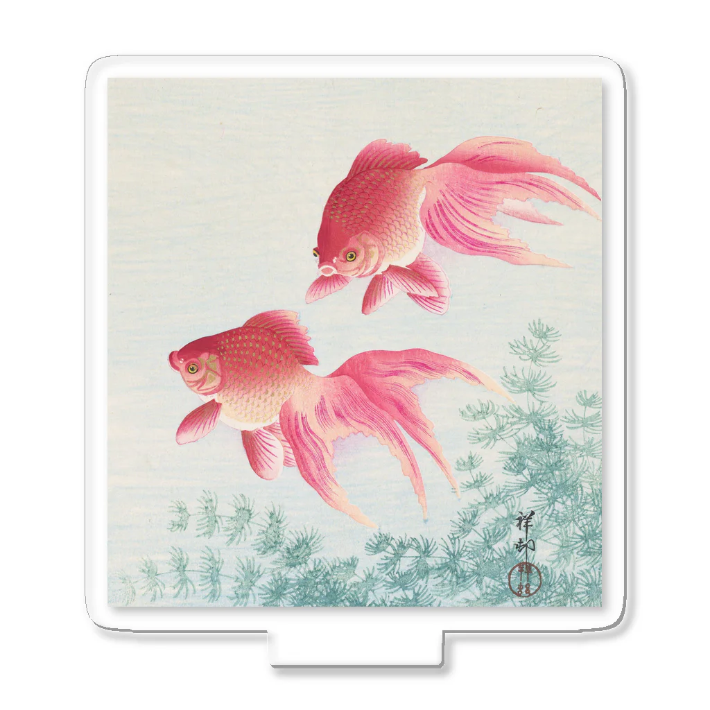 寿めでたや(ukiyoe)の日本画:小原古邨_金魚二匹 Acrylic Stand