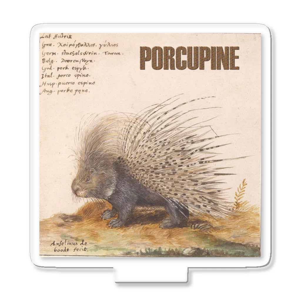 PALA's SHOP　cool、シュール、古風、和風、のPORCUPINE　ヤマアラシ アクリルスタンド